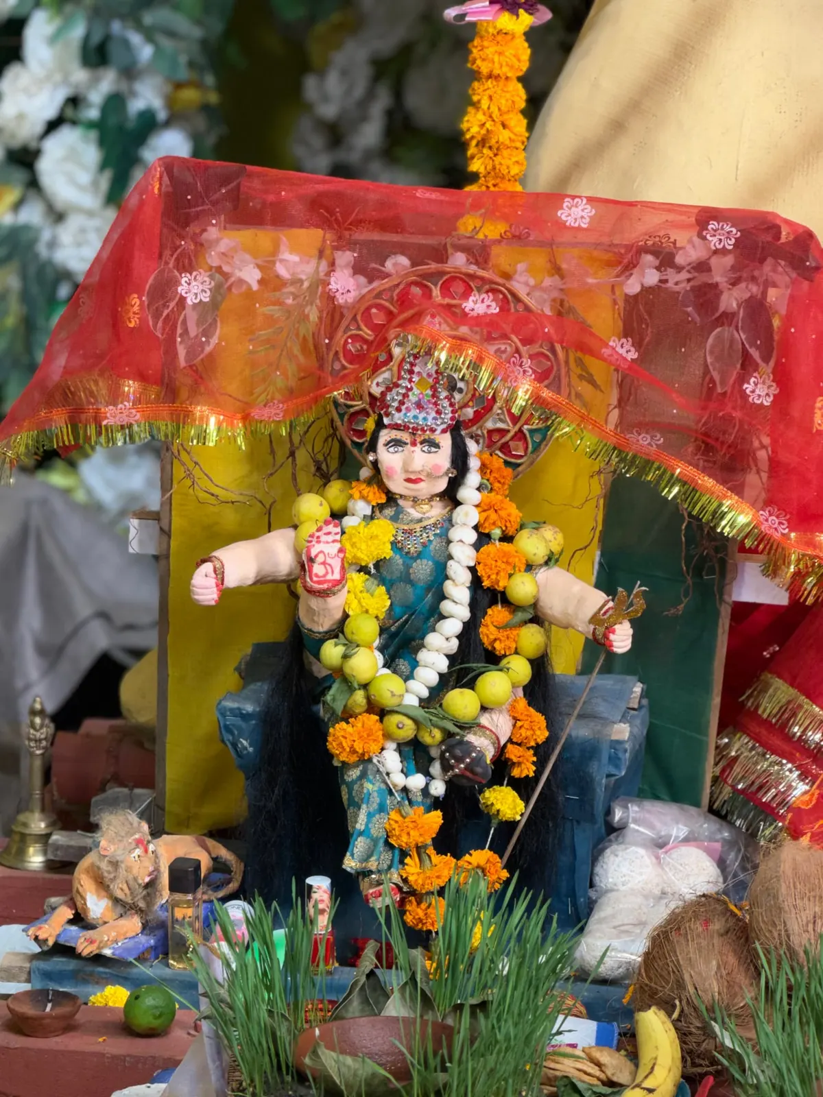 Sanjeevani Nagar Durga Utsav Samiti, Sanjeevani Nagar, Jabalpur